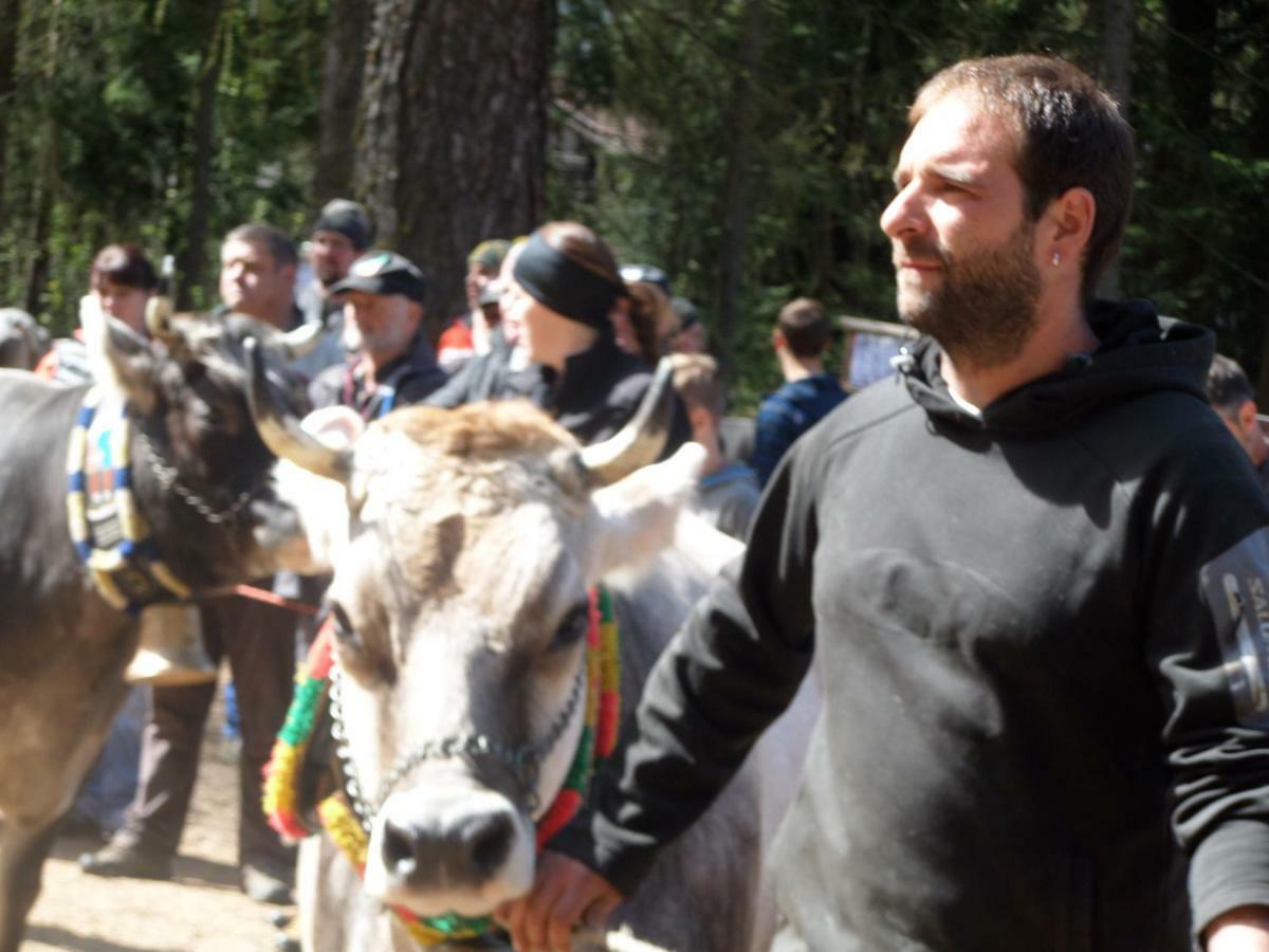 Honzarhof Διαμέρισμα Λάνγκενφελντ Εξωτερικό φωτογραφία